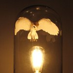 묘한 매력이 있는 <b>올빼미</b>소품