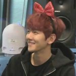 [EXO] 배켠 왕<b>리본</b>