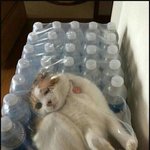 '<b>아차</b>!' 싶은 순간들