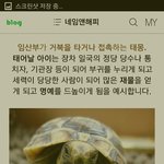 [CHEN] 엄마 배속에 있을때부터 <b>인물</b>