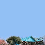 [EXO] 허술한실력으로 <b>배사</b>만들어봤음