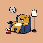 얘두랑 투명렌즈 뭐 살까!!!