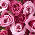 [드루와] 미아리 사창가 실화 이야기 ㄷㄷㄷ