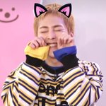 [시우민] 이둘중에 당신의 선택은? 슈냥이<b>VS</b>슈토끼?