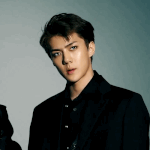 [세훈] 161116 ViVi <b>TV</b> 움짤