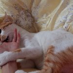 나의 동거남 <b>도칠</b>이는 개구장이