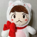 [EXO] <b>흐름</b>깨서 ㅈㅅ한데 얘 백현이 인형 맞지