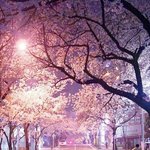 [조언부탁해] 커<b>버력</b>좋은비비나쿠션추천좀!제발ㅠㅜ