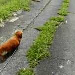 [BTOB] 아이오아이