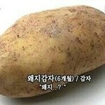 [이삐] 헤이보이