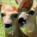 [EXO] 스밍이랑 투표 더 열심히 하자