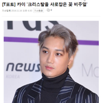[EXO] [T포토] 카이 '크리스탈을 사로잡은 꽃 <b>비주얼</b>'