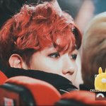 [EXO] 애들 진심 눈에 별<b>박아</b>써 ㅜㅜ