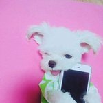 [댓글부탁해] (<b>미리</b>보기방지)이거 알레르기증상이야??