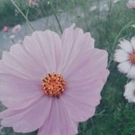 [댓글부탁해] 멜론 이용권중에
