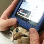 날 좀 봐줘라!(<b>feat</b>.냥이)