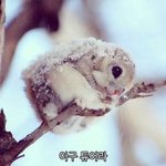 [드루와] 안자는 애들아 드루<b>와라</b>