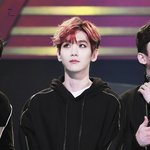 [EXO] 자기 배경화면 <b>풀기</b>