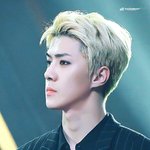 [세훈] 161116 <b>AAA</b> 고화질8