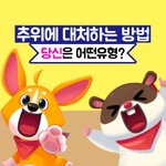 겨울에 어떤 유형으로 지낼건가요