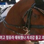 [황당] <b>버스비</b>를 2배로냈음;;