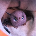 펠트로 만든 동물들 <b>by</b> 금손들