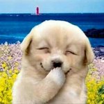 얼굴긴거 vs <b>사각</b>턱