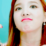 이 놈의 개<b>럭</b><b>시</b>는 폰트 좀 풀어줬으면