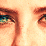 <b>화떡</b> 애들 찬양하는 애들은 뭐냐