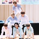 [세븐틴] 왜때문에..?