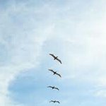 내가 좋아하는애가 내 친구 좋아한대...