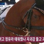 (꼭봐주라) 이거 썸인가???ㅠㅠ