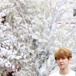 [EXO] 멜뮤갈건데 오늘춥냐???????