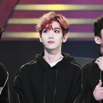 [EXO] <b>예의</b>바른 엑소