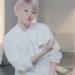 [세븐틴] @@메세지북 총대입니다@@