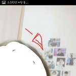[EXO] 이거 울 애깅이들 사진 아니냐?ㅂㄱㄲㅋㅋ