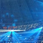 [엑소팬분들] 엑소팬들 텐미닛