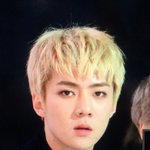[EXO] 세훈이 <b>볼살</b>쫌 오른거같아