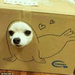 페리페라 잉크더<b>촉촉</b>써보신분??
