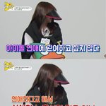 엑소 열애설에 대해 이건 나도 공감! 다른 <b>에리</b>분들 생각은 어떰?