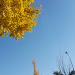 [조언부탁해] 내가 <b>작사</b> 소재로 이거 생각해본적 있어