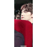 [세븐틴] 이거 그거잖아