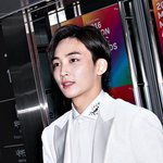 [세븐틴] 연예인아무나하는데아니라고느낀거 +추가
