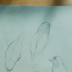 [댓글부탁해] 수능 끝나고 <b>심심</b>해서 그림 1