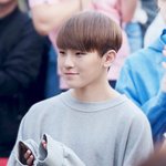 [세븐틴] ㅅㄷ)얘드라ㅜㅠㅠ <b>지후</b>니 맨투맨ㅜㅜ