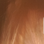 [댓글부탁해] <b>머릿결</b>ㅇㄸ보여
