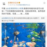 [세훈] 언소<b>교수</b>님이 답글 남겨주심ㅋ