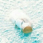 [세븐틴] 미친 예쁘다 <b>연장선</b>이라는 궁예 돌았잖아 그거 이거아님...