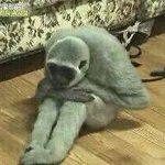 공부하기진짜 너무싫다 <b>끔찍</b>해