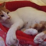 나의 동거남 <b>도칠</b>이 "제목 없음"